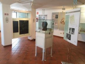Sala_bronzi_Museo_archeologico_Zuglio©Anna_Pia_Zamolo[11101] 
